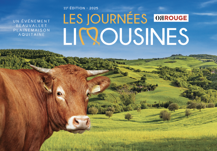 Les Journées Limousines