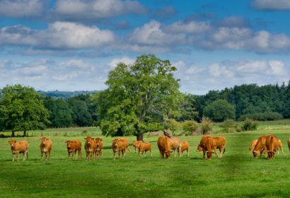 THE LIMOUSIN, HIGH NATURAL VALUE